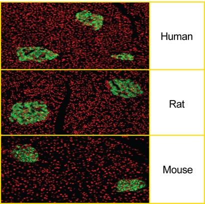 565831_figure3_rev6.png